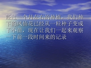 种子变成了幼苗