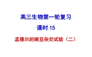 孟德尔的豌豆杂交试验（二）