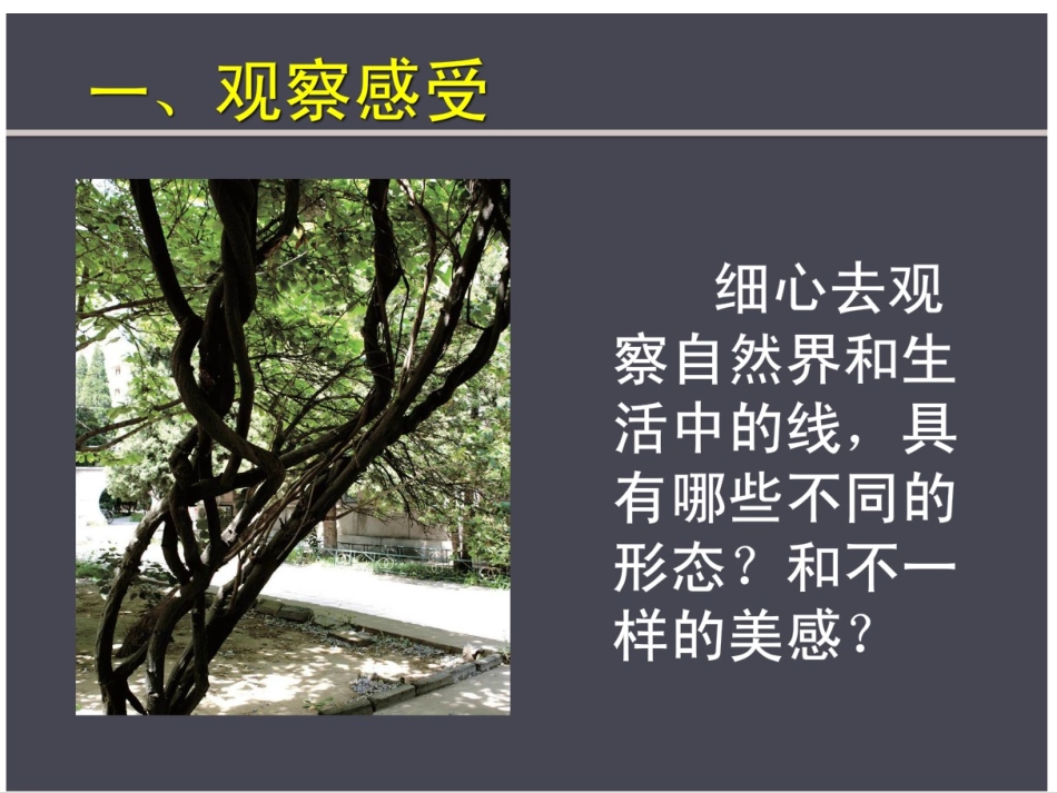 线条的艺术表现力_第2页