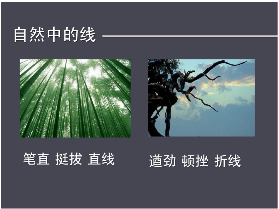 线条的艺术表现力_第3页