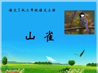 三年级语文上册-山雀-3课件-语文S版