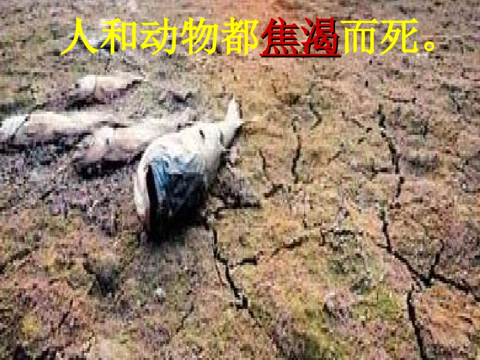 人教版三年级下册《七颗钻石》课件_第3页