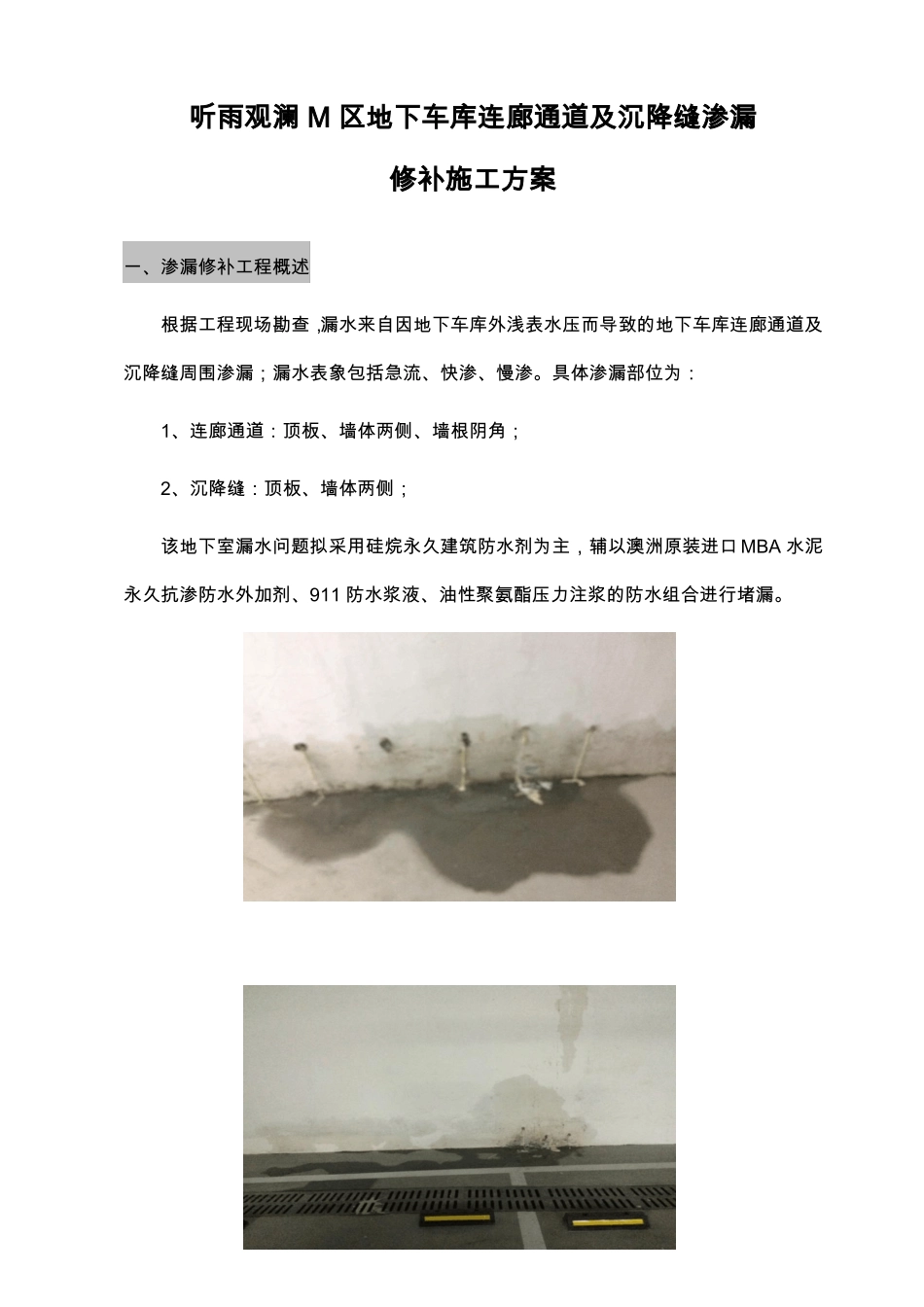 防水渗漏修补施工组织设计方案_第1页