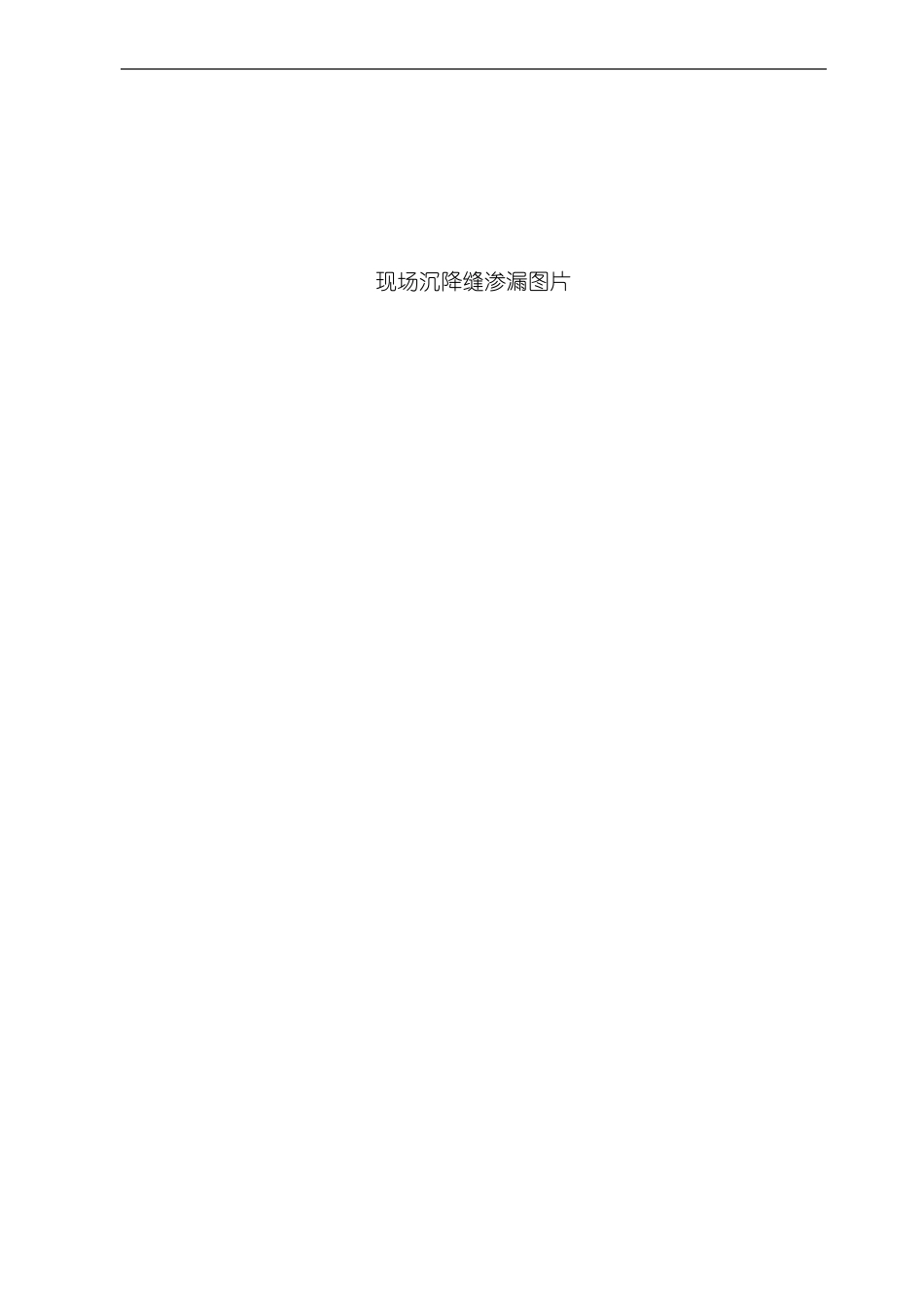 防水渗漏修补施工组织设计方案_第2页