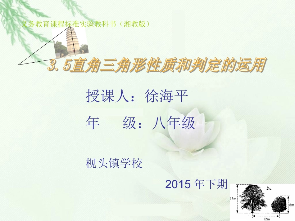 直角三角形性质与判定的运用_第1页