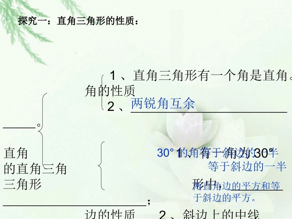直角三角形性质与判定的运用_第2页