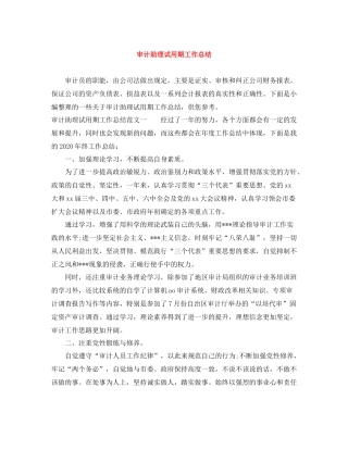 审计助理试用期工作总结