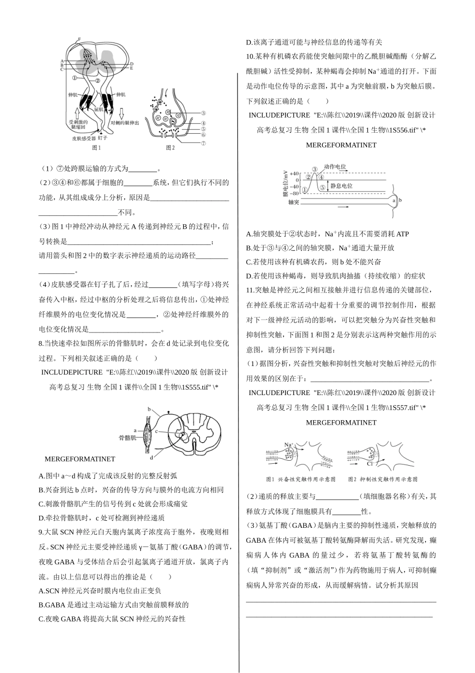 课时作业13：神经调节_第2页
