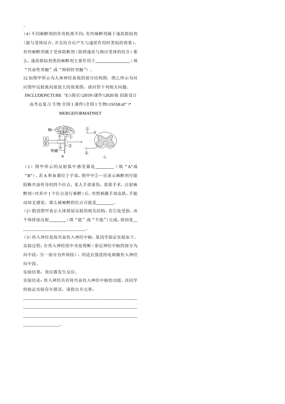 课时作业13：神经调节_第3页