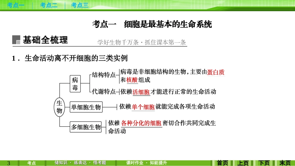 第1讲走近细胞_第3页