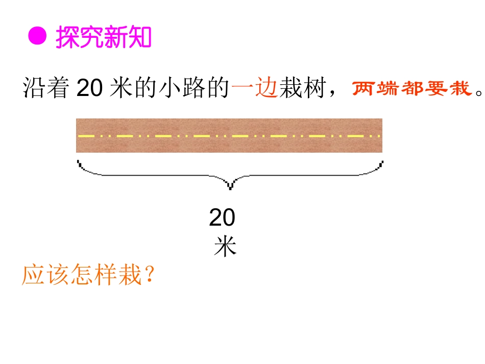 植树问题课件_第3页