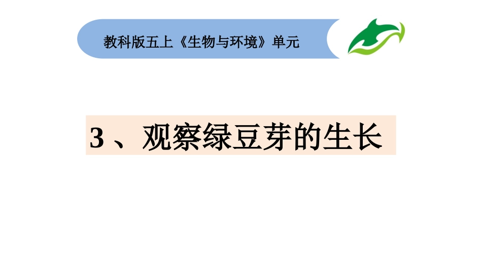 五上1-3《观察绿豆芽的生长》_第1页