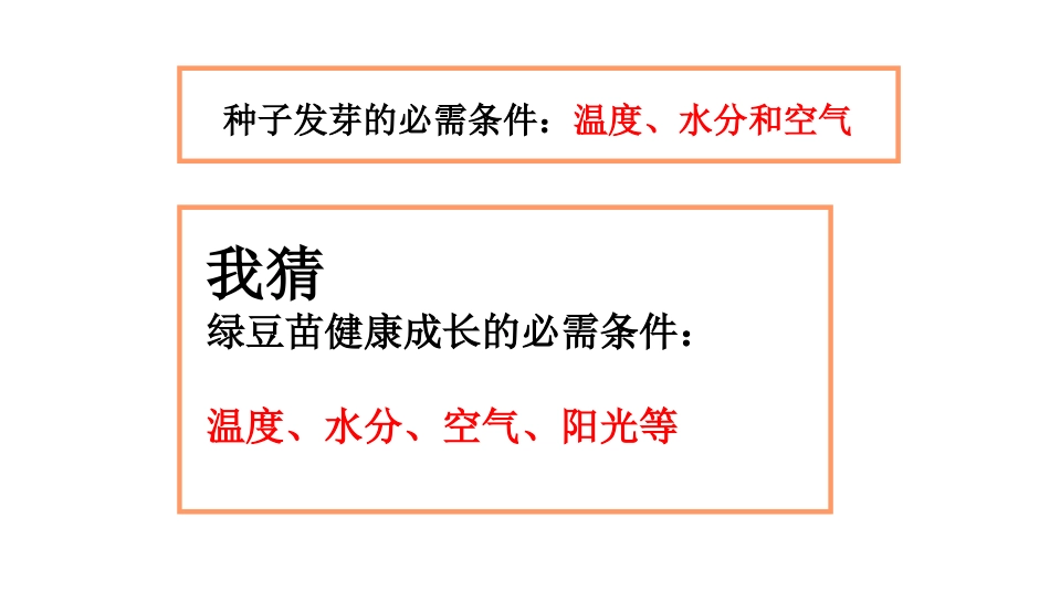 五上1-3《观察绿豆芽的生长》_第3页