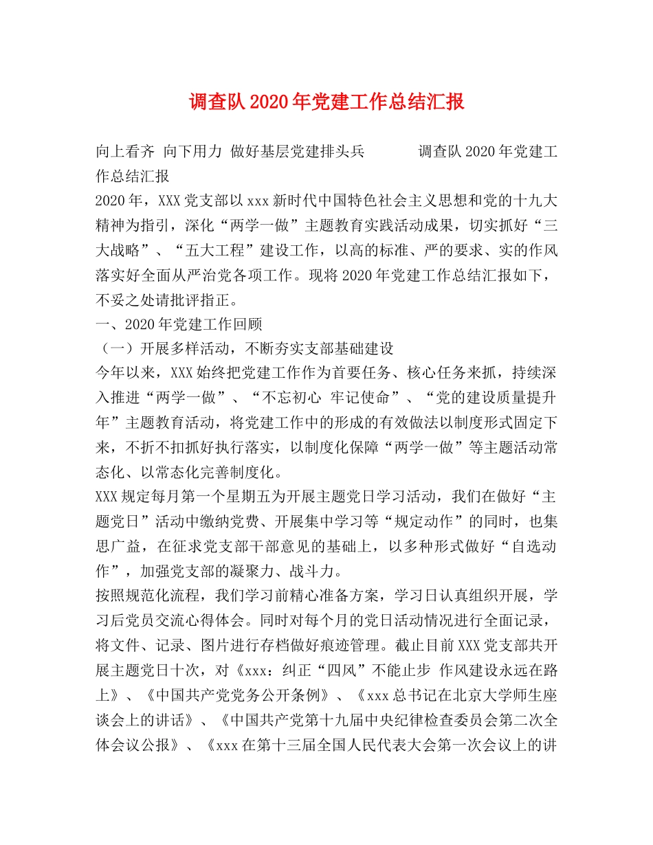 调查队2020年党建工作总结汇报 _第1页