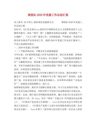 调查队2020年党建工作总结汇报 
