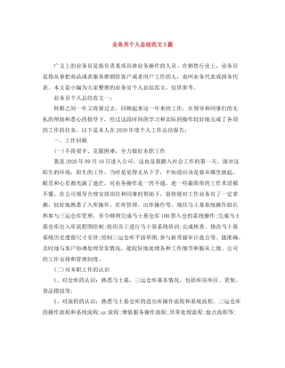业务员个人总结范文3篇