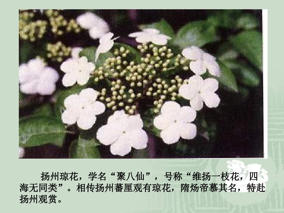 第1课繁盛一是的隋朝_第1页