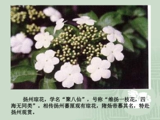 第1课繁盛一是的隋朝