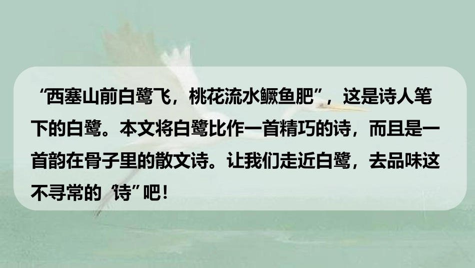 -白鹭-第二课时 ()_第2页