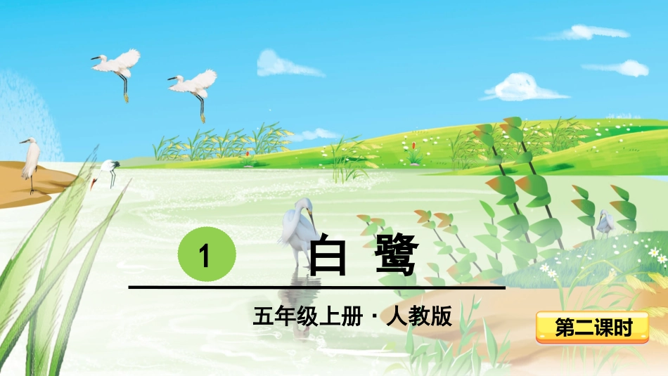 -白鹭-第二课时 ()_第3页