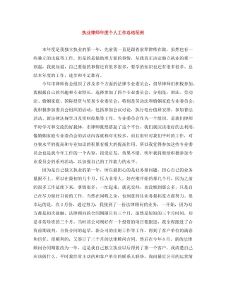 执业律师年度个人工作总结范例