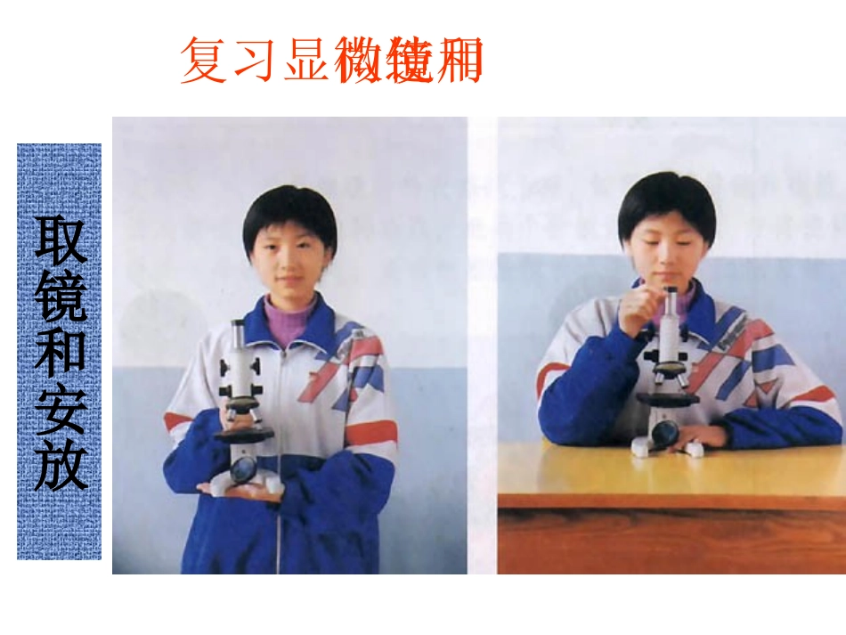 生物：第2单元第1章第2节-观察植物细胞课件(人教版七年级上)_第2页