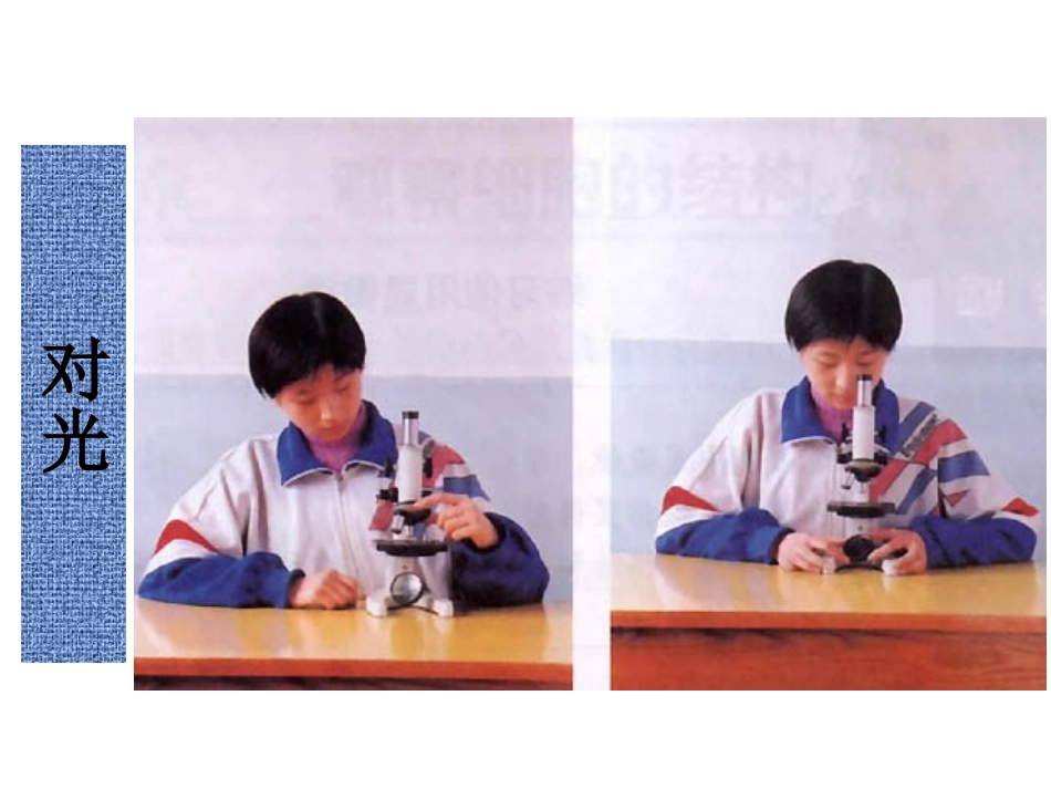 生物：第2单元第1章第2节-观察植物细胞课件(人教版七年级上)_第3页