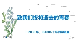 班会6：致我们终将逝去的青春下部