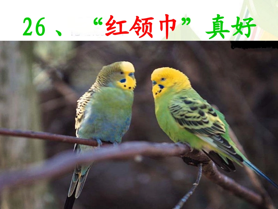 、红领巾真好_第1页