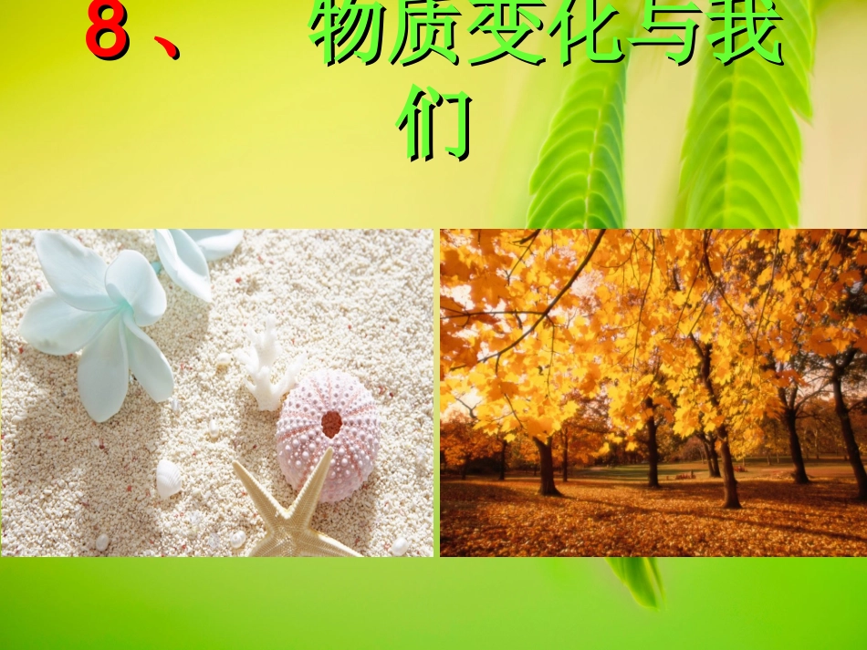 、物质变化与我们PPT_第1页