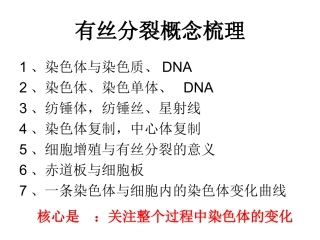 画出染色体为2N=4的