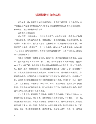 试用期转正自我总结 