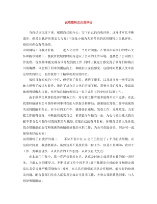试用期转正自我评价 