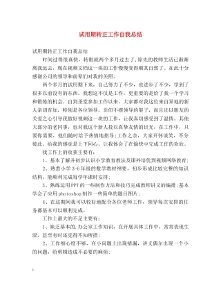 试用期转正工作自我总结 