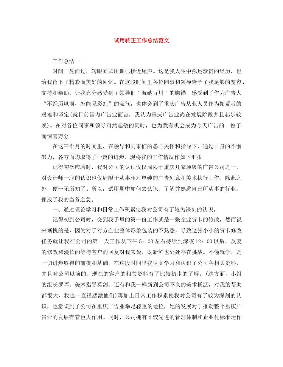 试用转正工作总结范文 _第1页