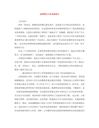 试用转正工作总结范文 