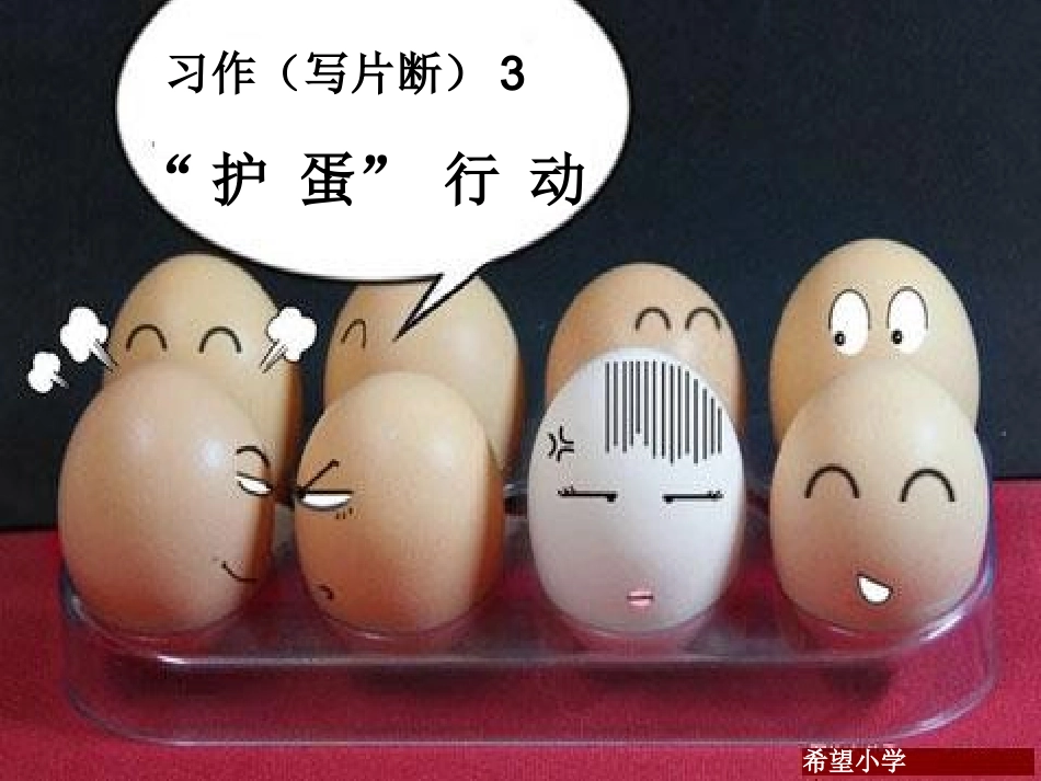 习作3（护蛋行动）_第1页