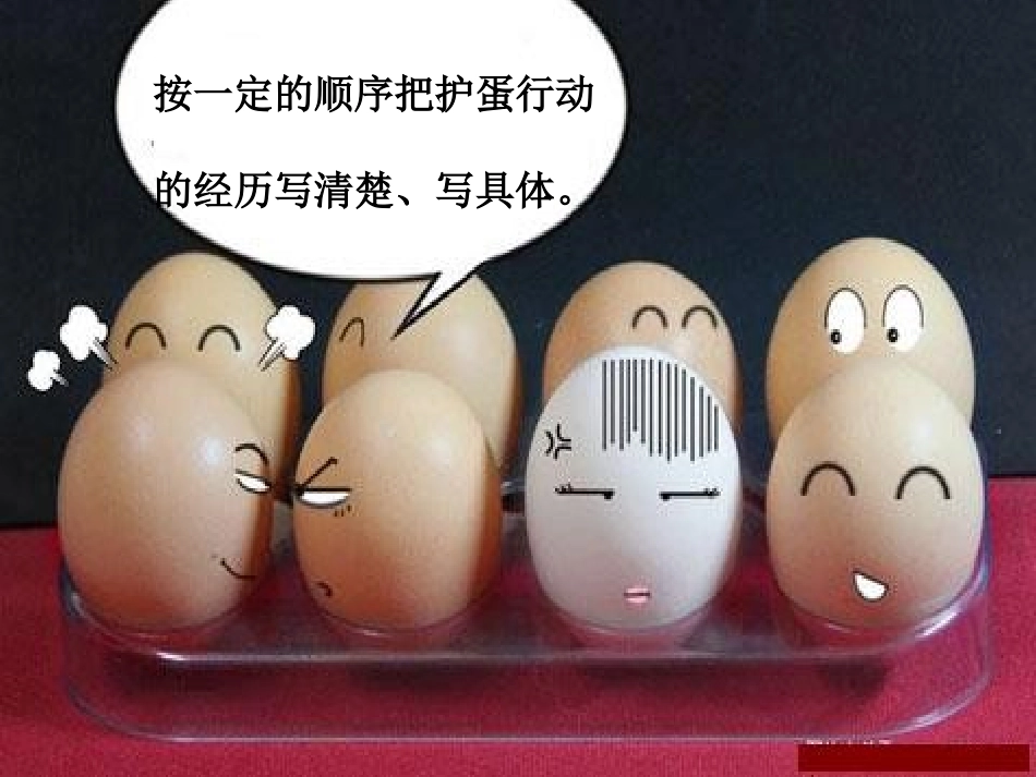 习作3（护蛋行动）_第2页