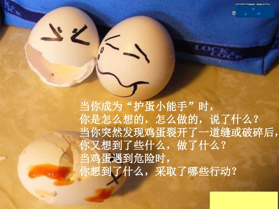 习作3（护蛋行动）_第3页