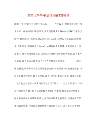 上半年社会计出纳工作总结