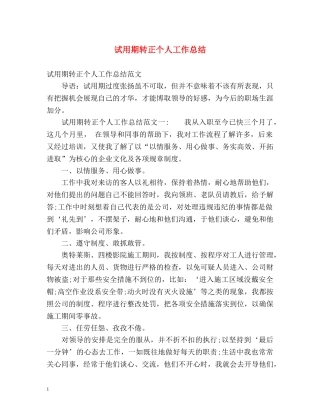 试用期转正个人工作总结 