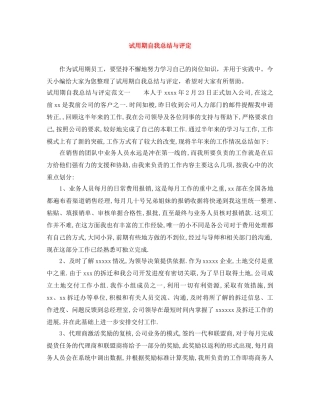 试用期自我总结与评定 