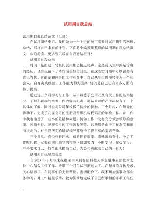 试用期自我总结 