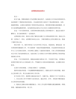 试用期自我总结范文 
