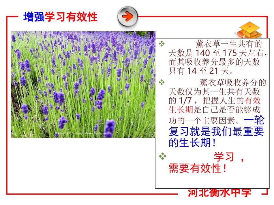 高三学生高效学习_第3页