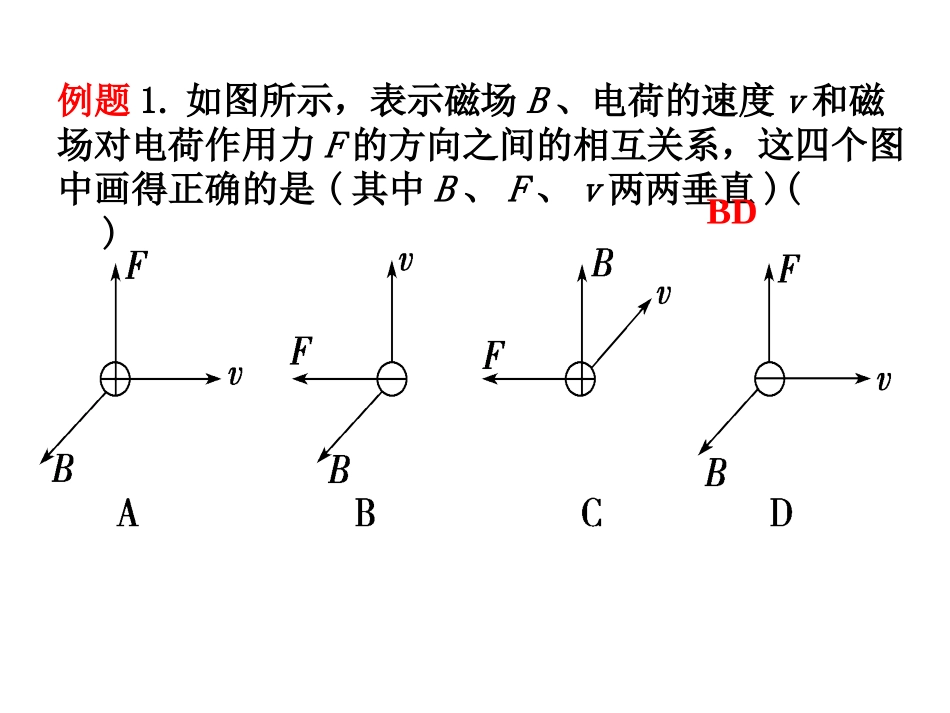 运动电荷在磁场中受到的力1_第3页