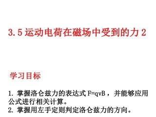 运动电荷在磁场中受到的力1