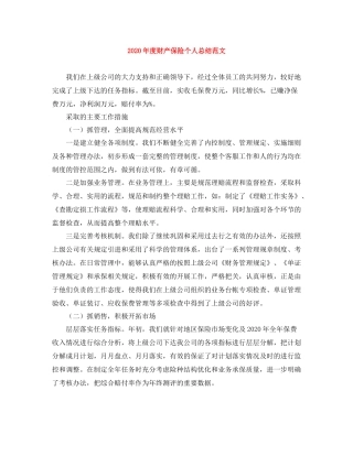 2020年度财产保险个人总结范文
