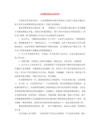 试用期考核表自我评价 