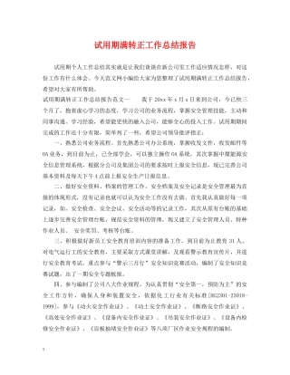试用期满转正工作总结报告 